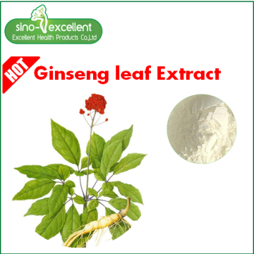 ginseng leaf extract Re 17% HPLC for cosmetic